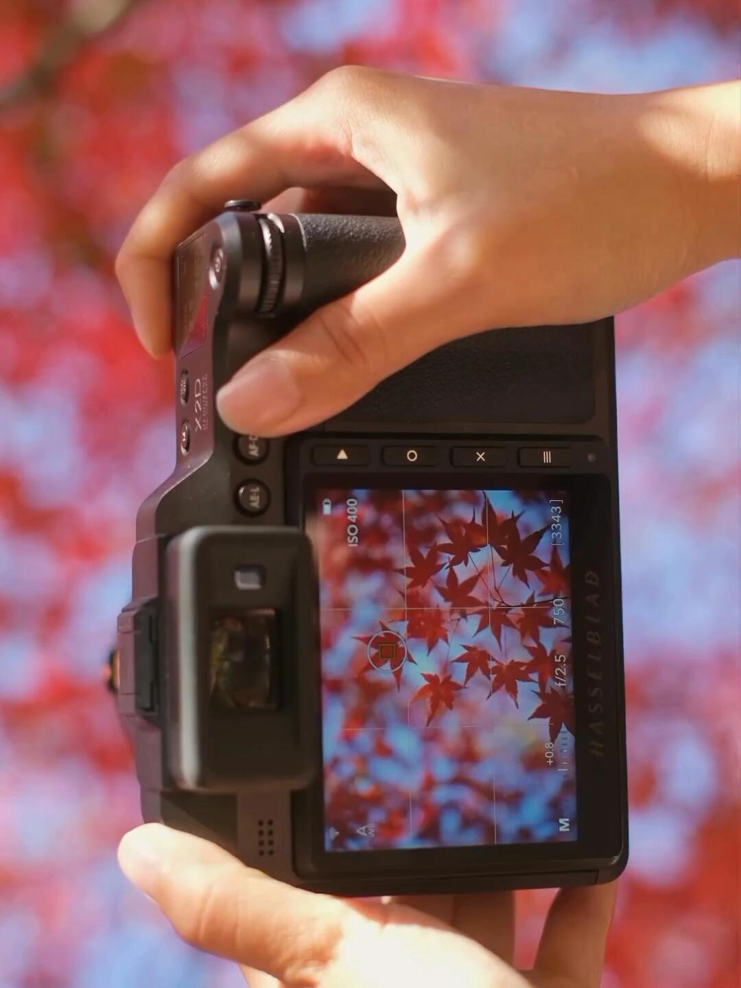 过年前有个大胆想法😭😭