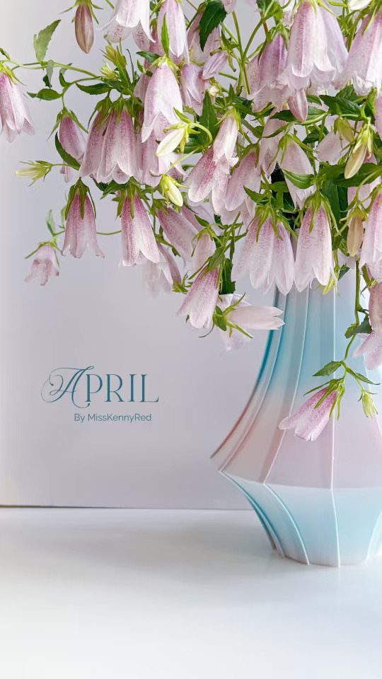 紫斑风铃｜温柔的