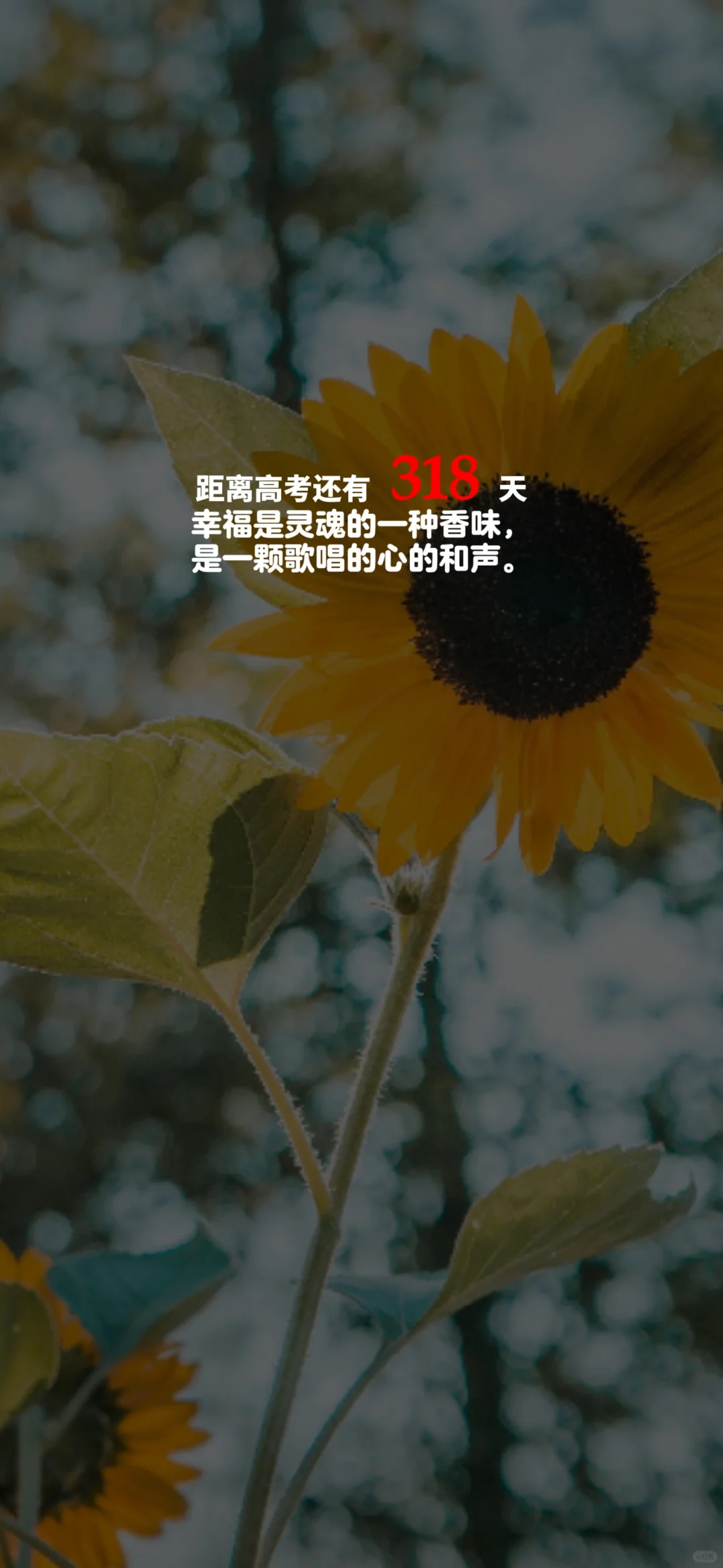 2025高考倒计时，每日更新。