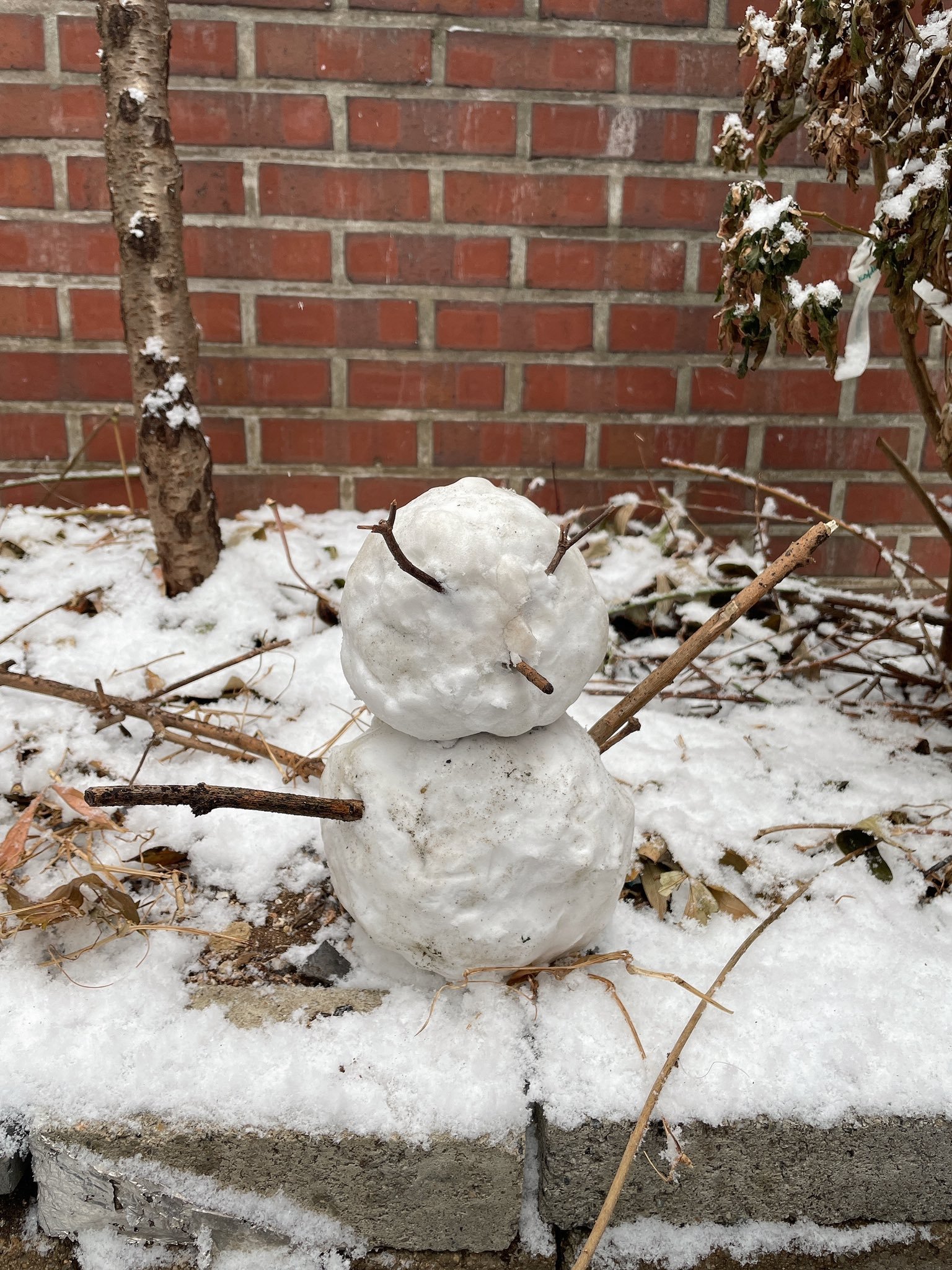 雪天一定是“这是我跟秀彬一起堆的头长角雪人⛄️” 