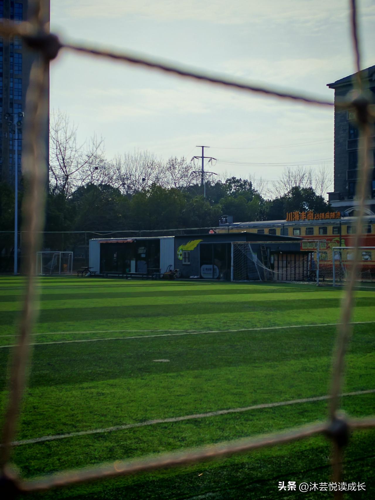 晨跑随手拍，春天真的来了
 
早上绕着操场跑了五公里，
风里已经没有了刺骨的凉，