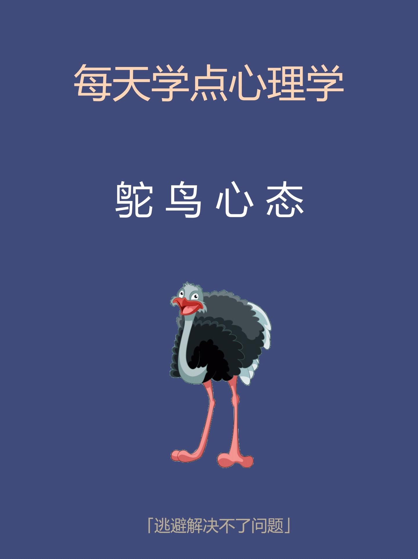心理学知识-鸵鸟效应。知识科普知识科普