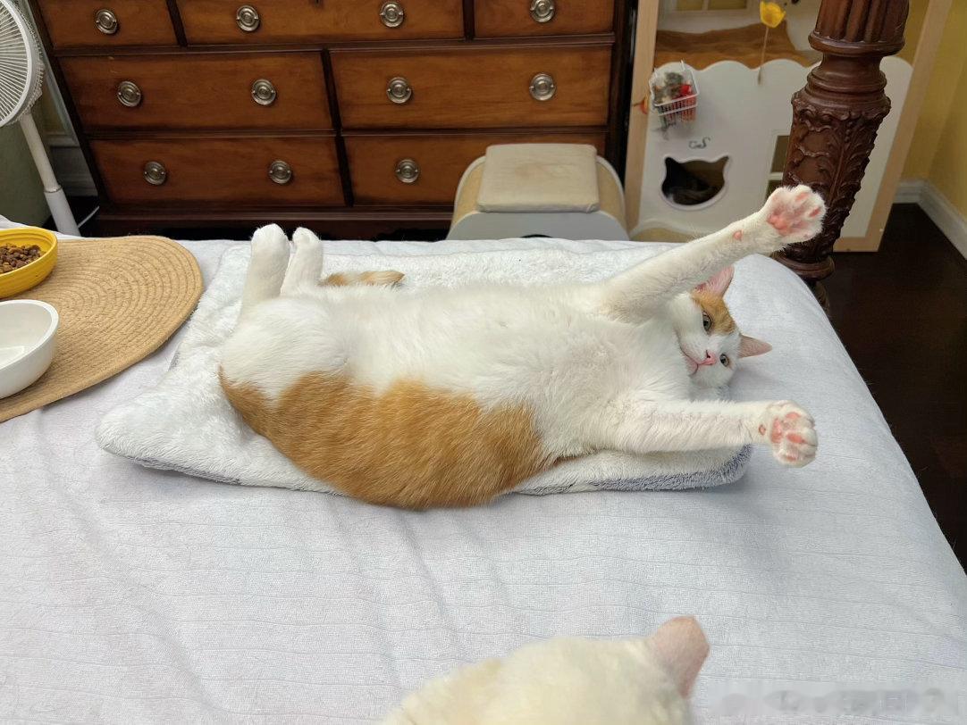 猴猴！咱起床，咱要奋斗！咱今日事今日毕！ ​​​