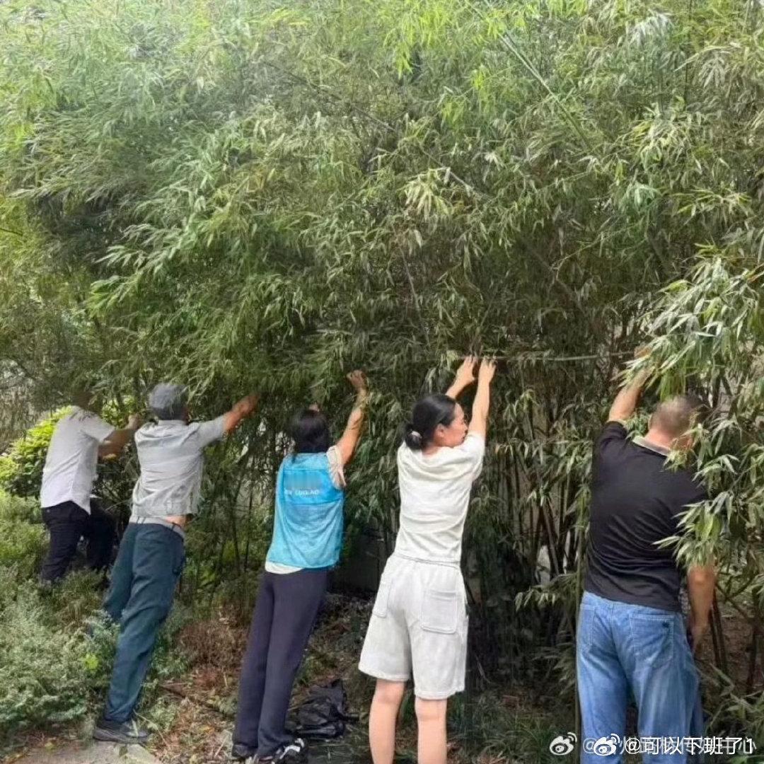 台州路桥全员集结逆风而行守护万家灯火从凌晨巡防到深夜值守，从重点人员转移安置到风
