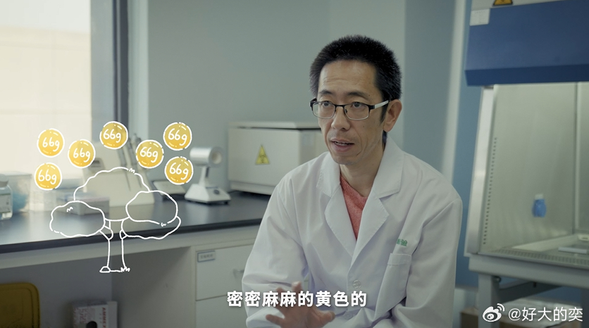 200位病友为临终老人的树浇水200个人，为了一个素不相识的病友，自发接力做同一