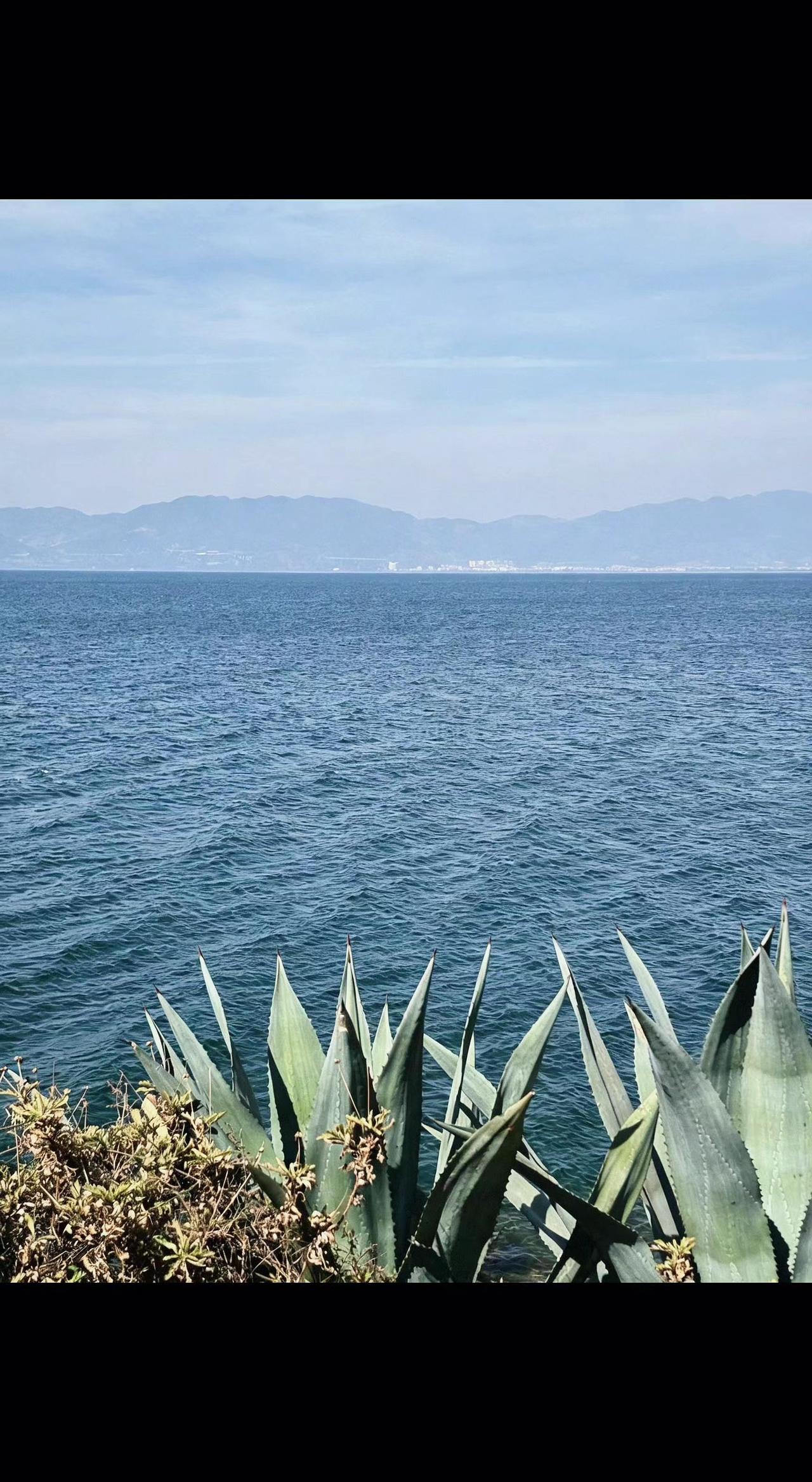 🌊湖水把天空揉碎成蓝玻璃✨，远山在雾里打盹。风过时，连龙舌兰都弯下腰听浪的私语