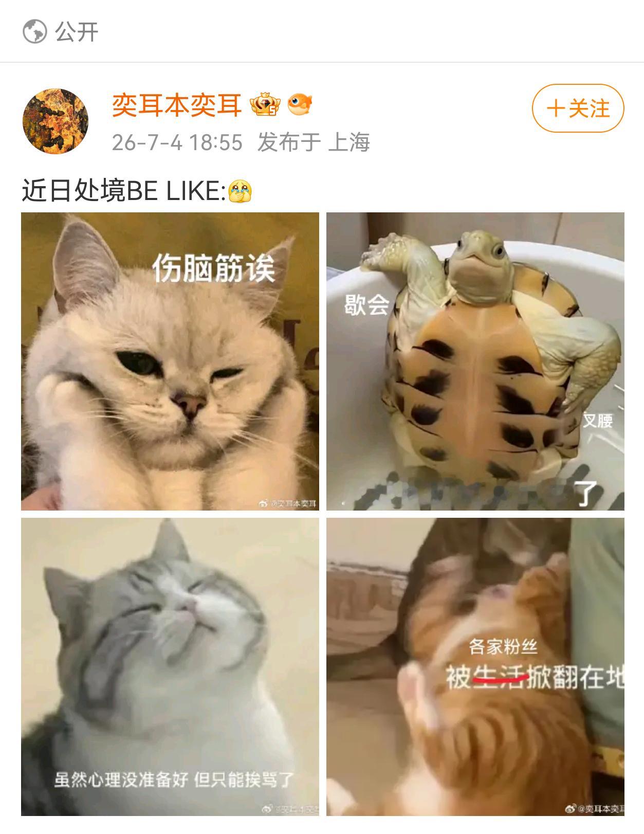 被骂又出来卖惨了，谁理你 