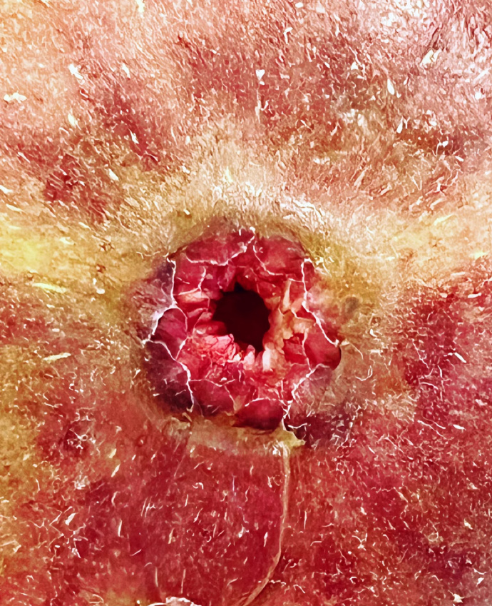 一看吓一跳。。颠覆认知的两性冷知识1、男人早上那方面的欲望通常比较强2、有研究说