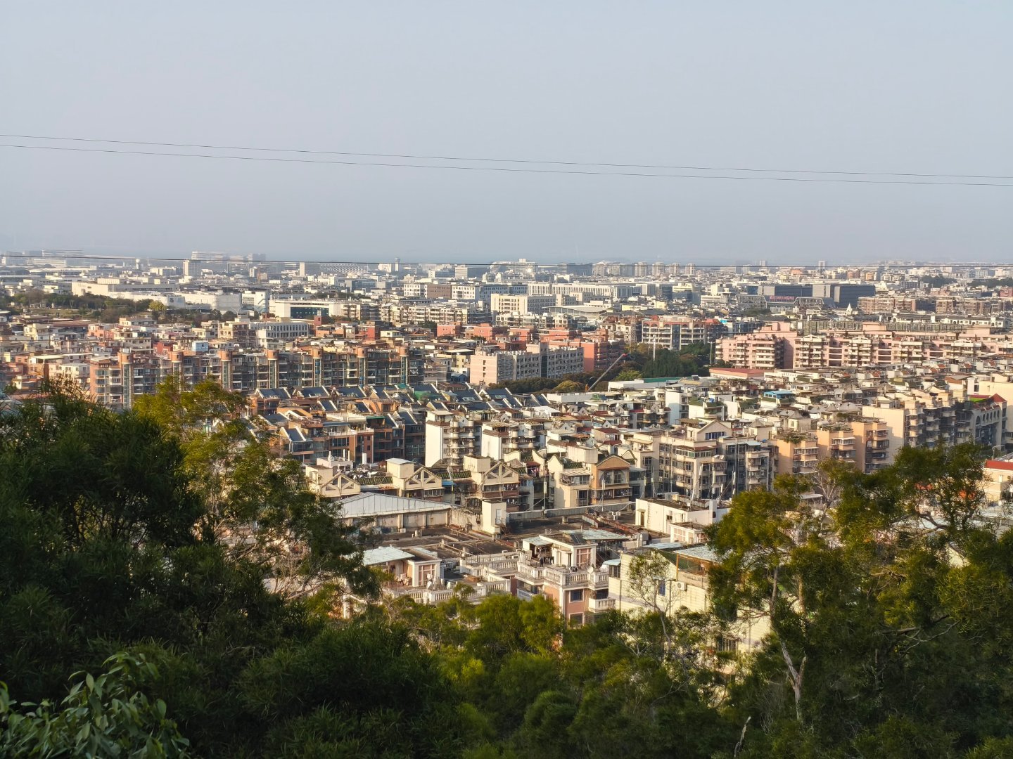 沪c感觉是全中国最文明的车啊，昨天见到一辆打灯三秒，然后他才拐。我就说罚款有用吧