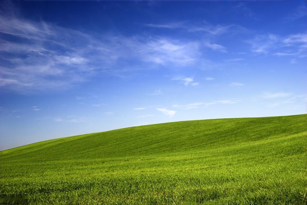 这不是一张好照片。
首先，画面叫单调。
除了蓝天就是草地，画面元素比较单一，缺少
