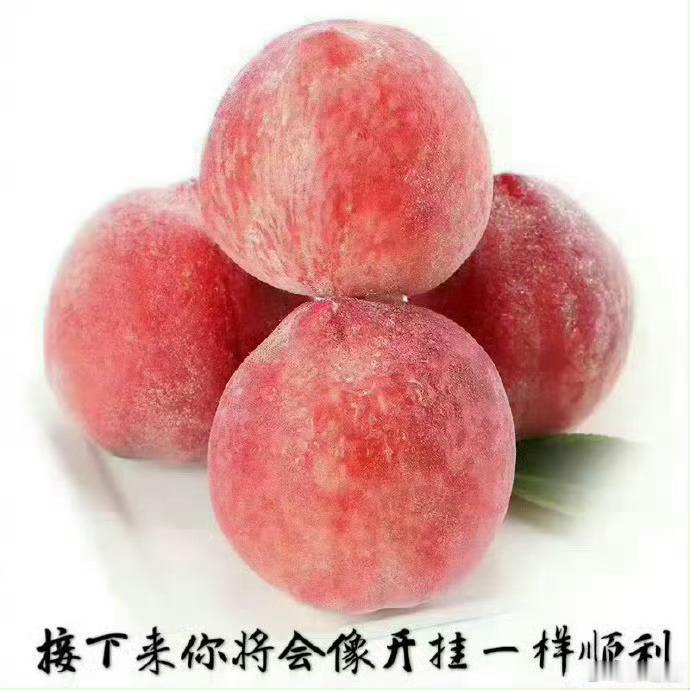 好运2026 转发这颗桃子，接下来你将会像开挂一样顺利🍑 私信，可以许愿