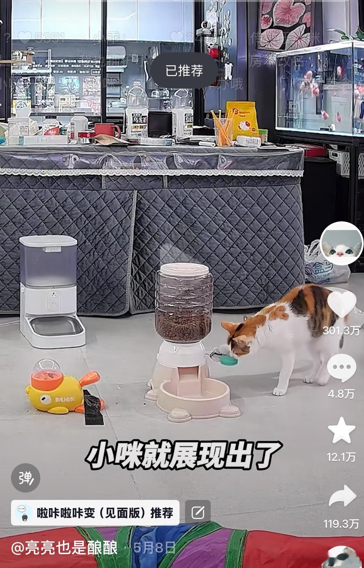 好喜欢这个记录家里猫猫的博主视频，她好懂每一只小猫然后配上她的解说，我感觉我在看