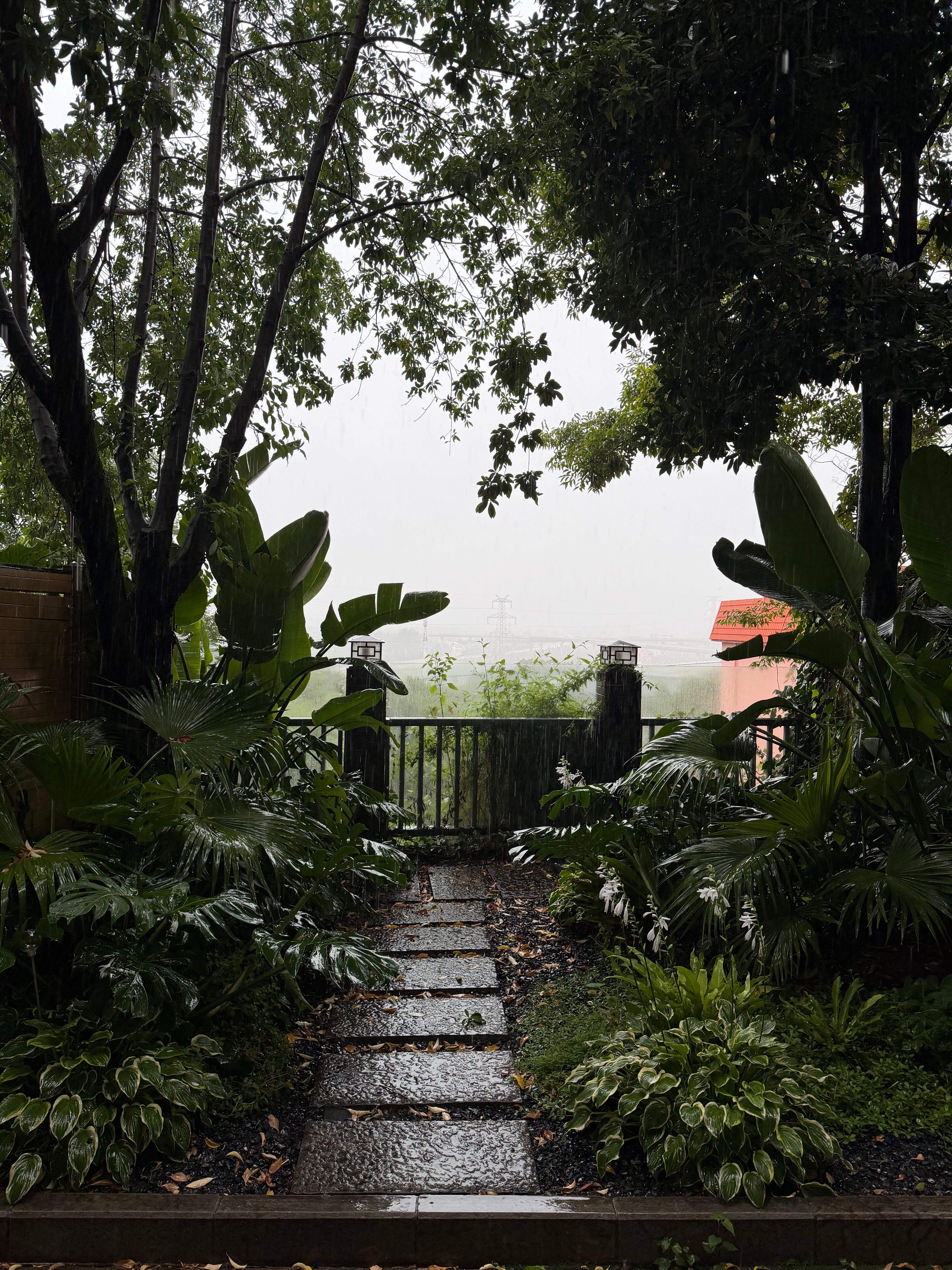 哪都是雨，给我一种错觉我特么换了个地方避雨，远处你别说是滇池，你跟我说是大海我都