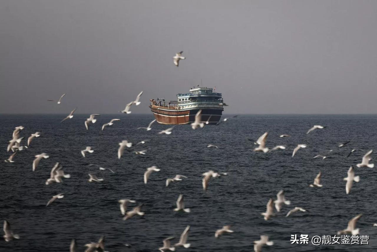 彻底杠上了！
俄罗斯媒体消息，伊朗在被美国和以色列空袭后，石油出口量甚至超过了战