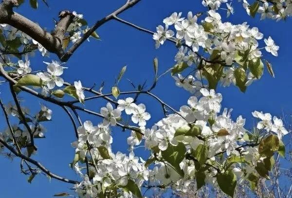 【想成为优秀的父母，要懂得先经营好自己的生活】
        想成为优秀的父母