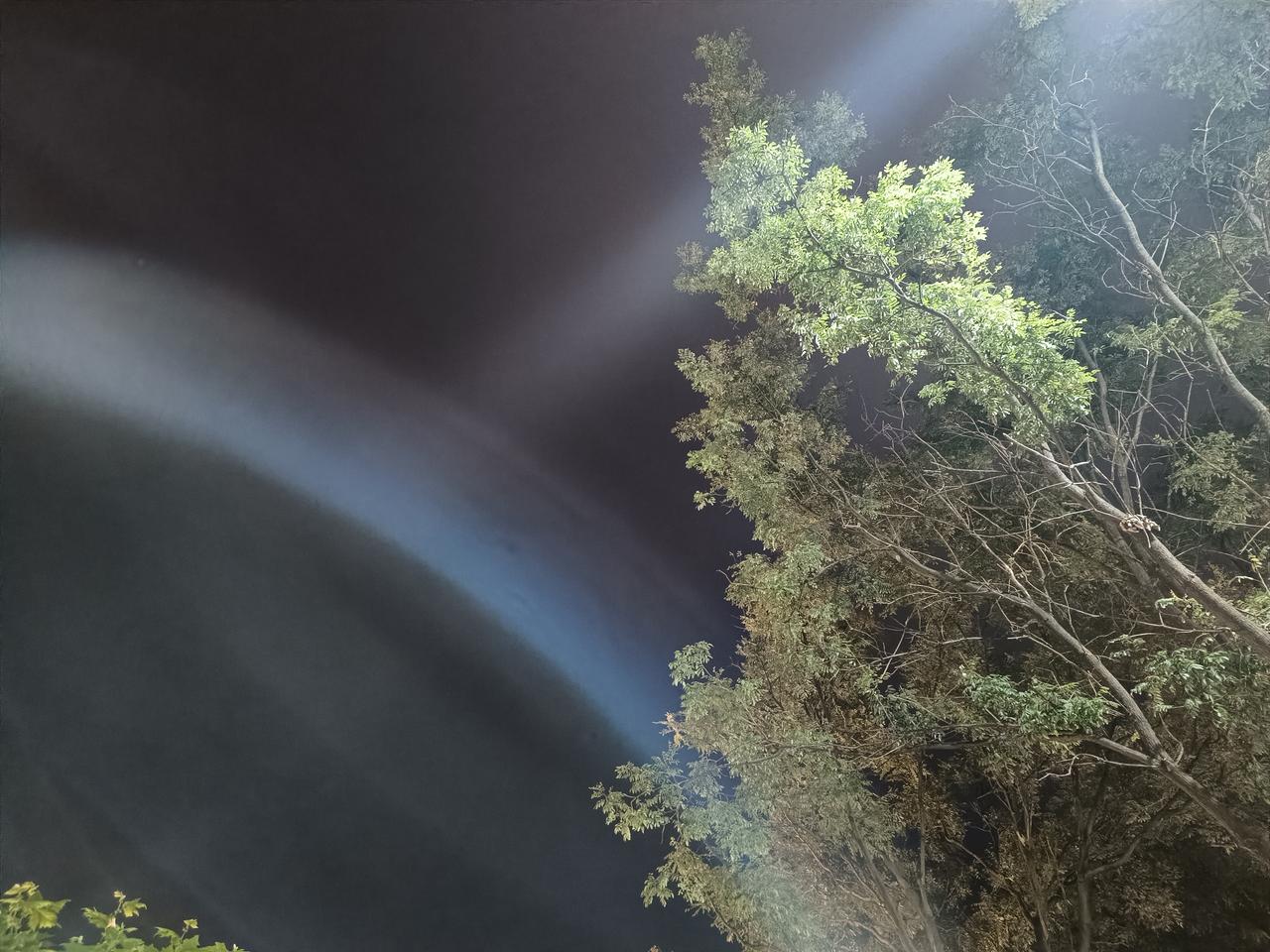 夜色已深。
路灯把光照在路边的树上，如同我的心在盼望着那束希望之光。
