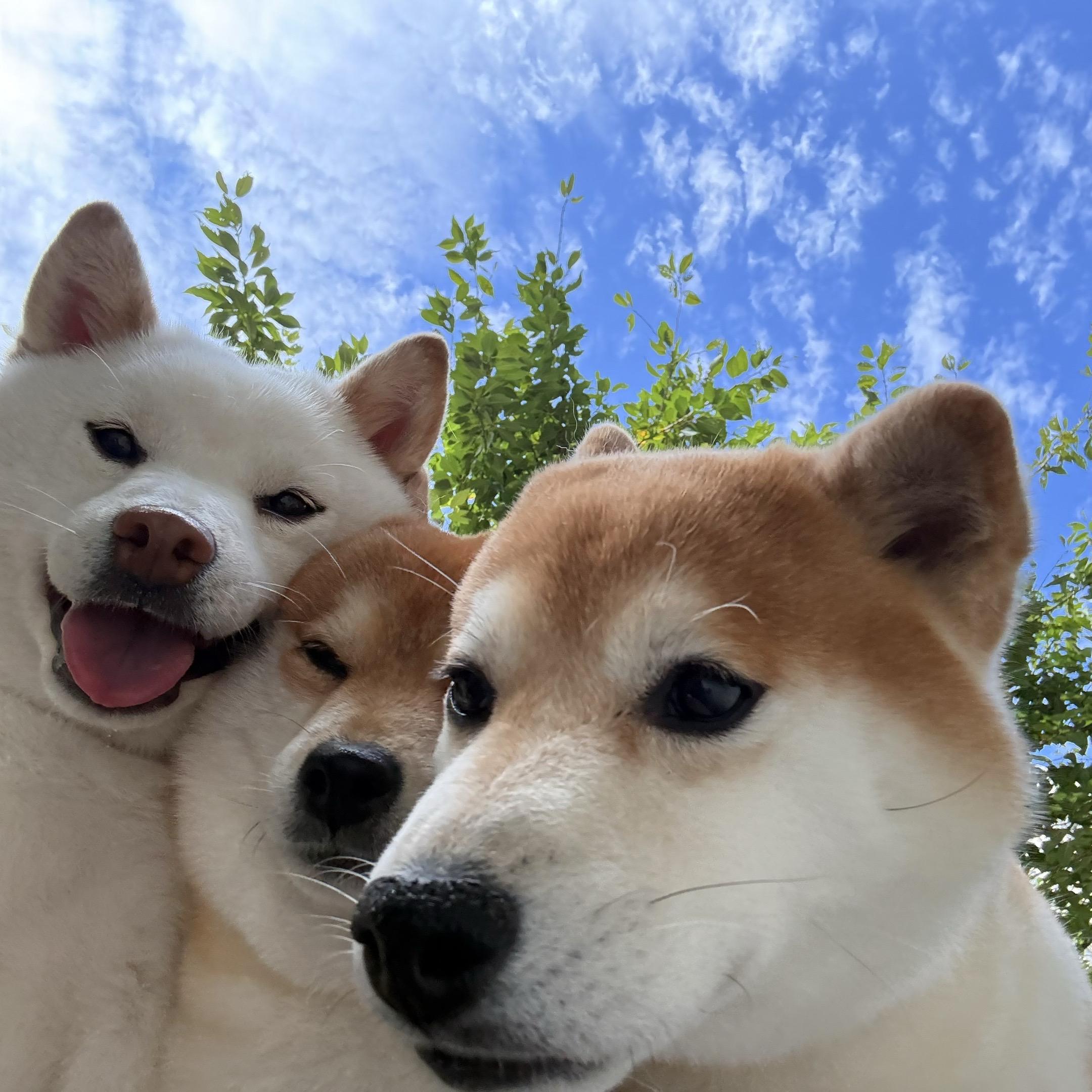 我也要你天天开心