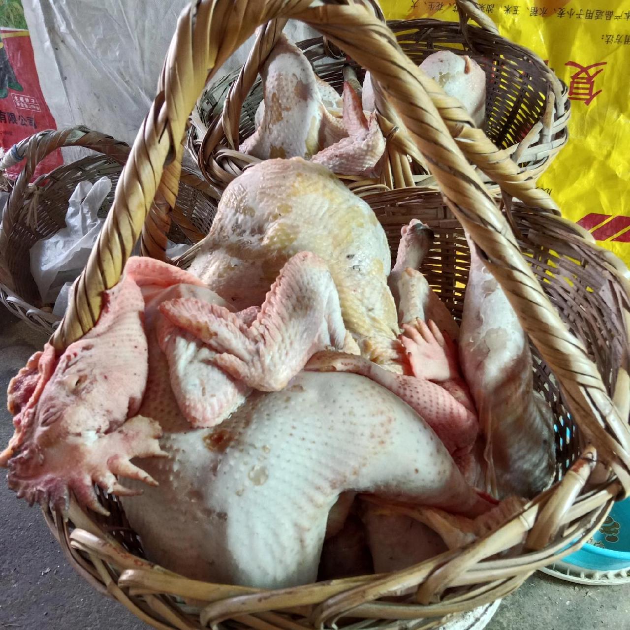 .不必山珍海味，这篮婆婆备下的年鸡，就是年夜饭最硬的“硬菜”。岁月不老，亲情常在