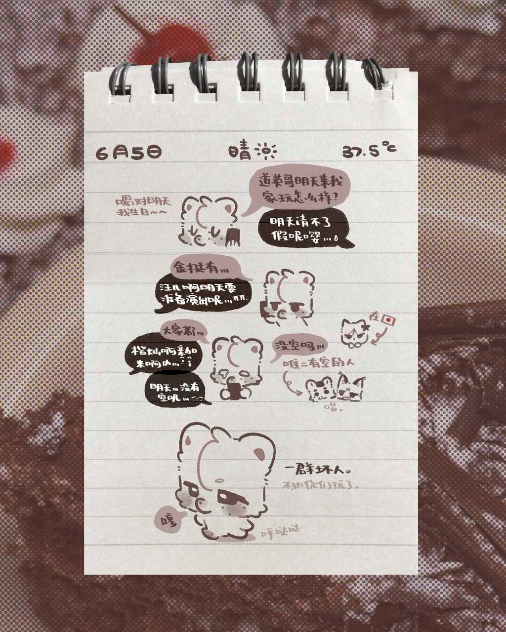 【翻牌】不要骗笨笨的忙内呀ʕ>Ⱉ<ʔ 
