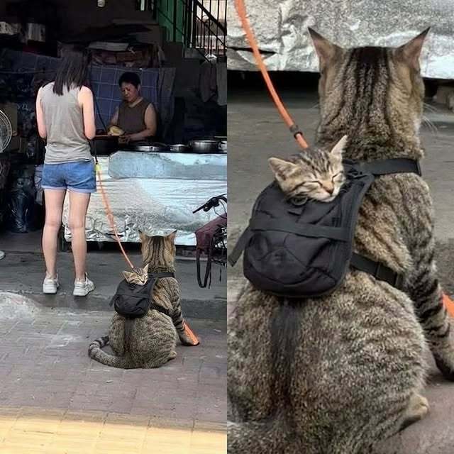 ⠀ 