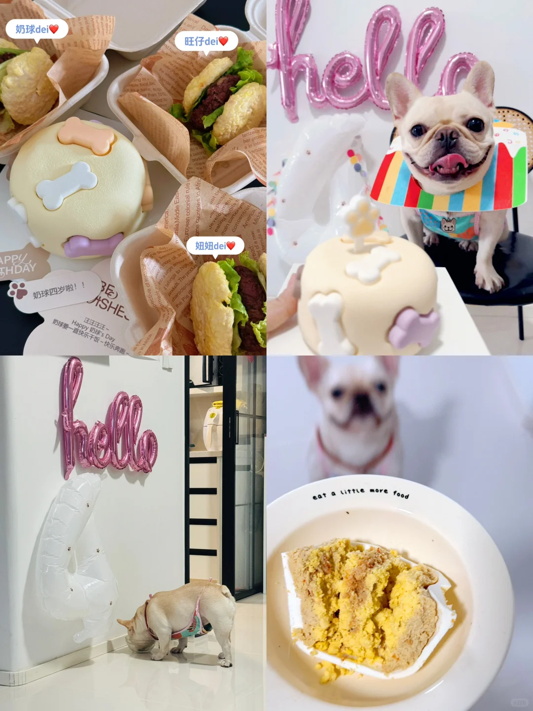 我的小狗🐽四岁啦～
