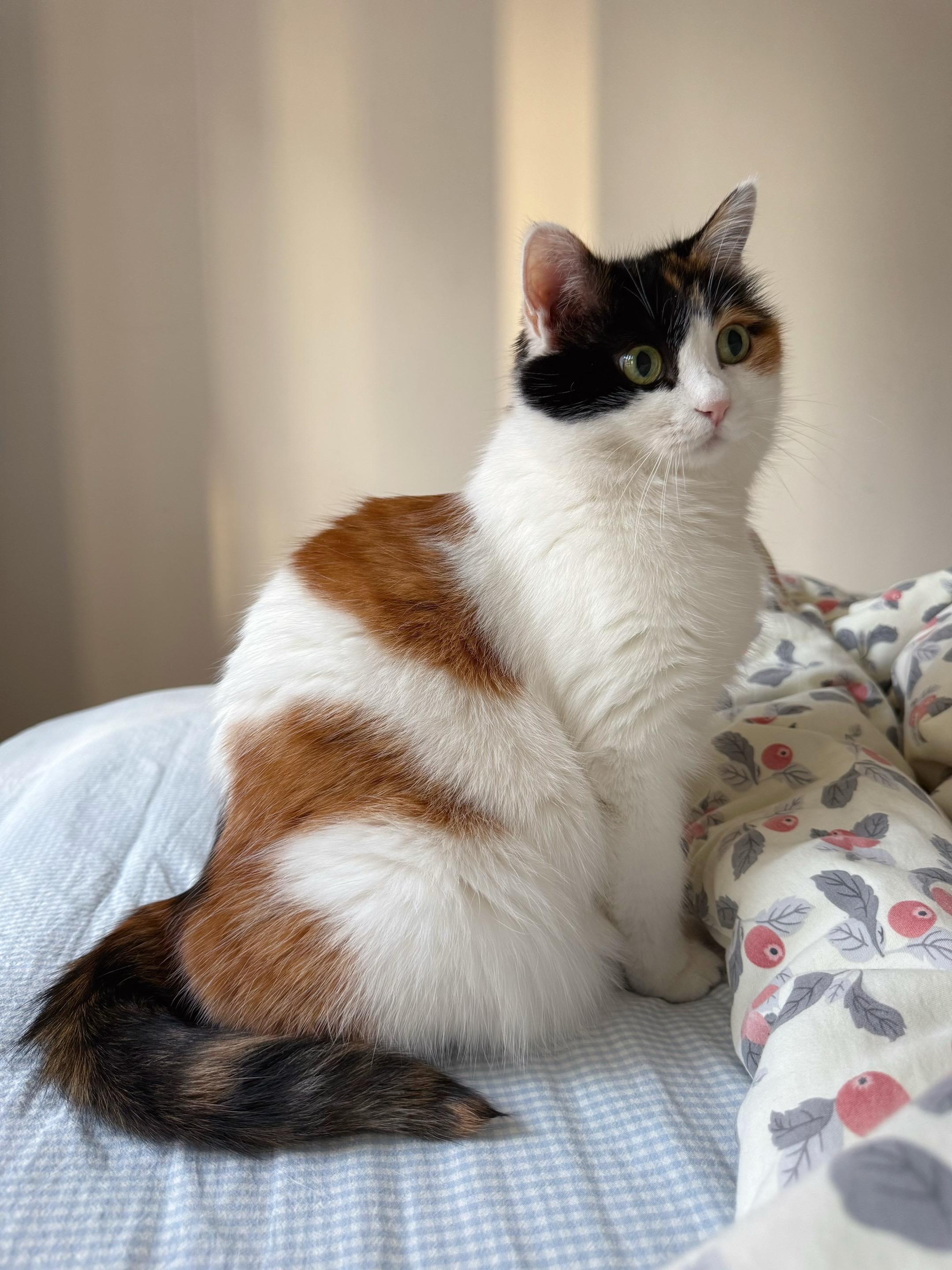 大小姐有起床气。