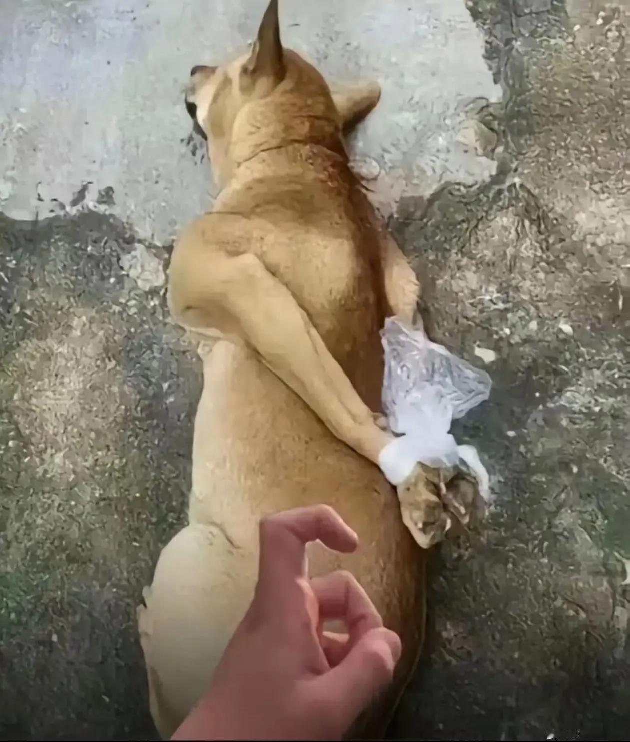 搞定
