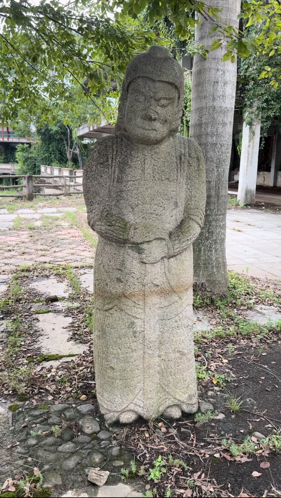 今年“到”过的，泉州各个年代的石翁仲