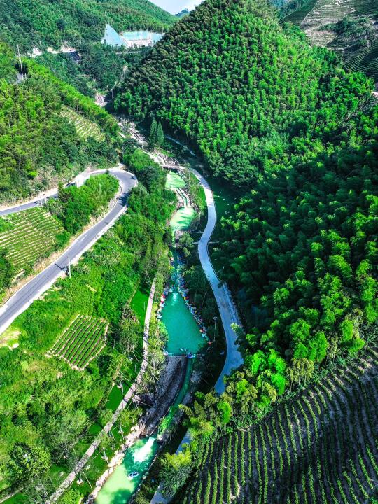 迄今为止，我最喜欢的丛林漂流出现了😭live