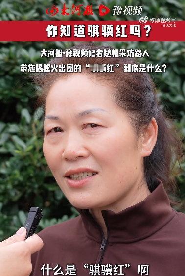 河南大爷永远的神！一句灵魂拷问直接让采访充满烟火气，跨年穿红图的就是吉利，名字只