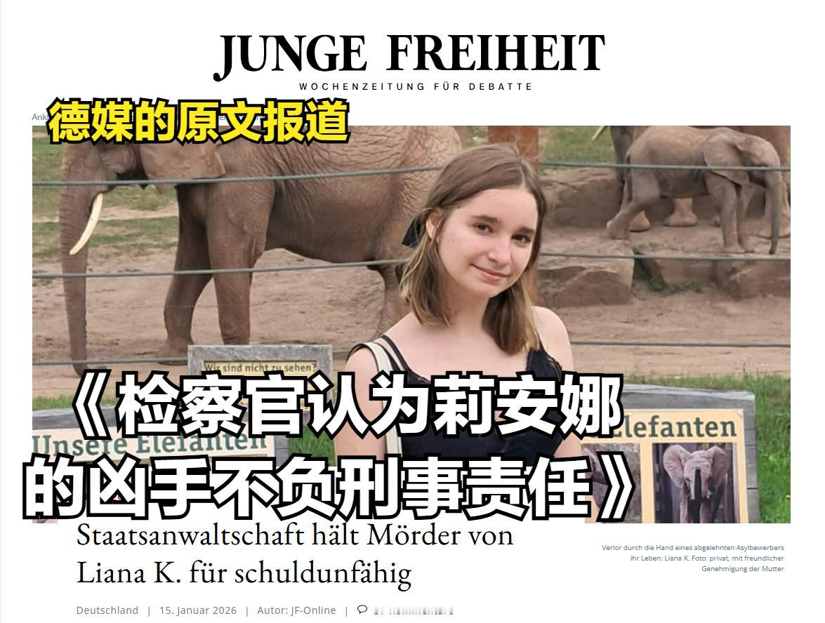 还得是德国，他们的法网都千疮百孔了，还在疯狂引进异乡人。

在德国的即将被遣返的