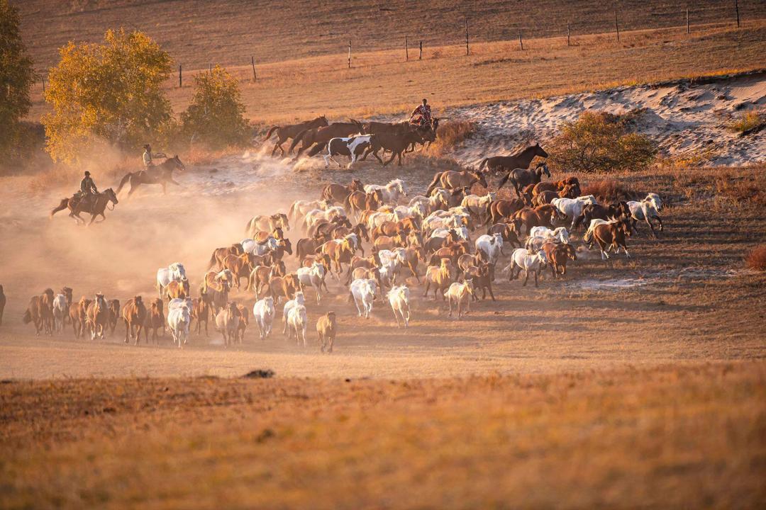 岁岁重阳，今又重阳
1、上证震荡站上3900，过山车一样的感受。东方欲晓，莫道君