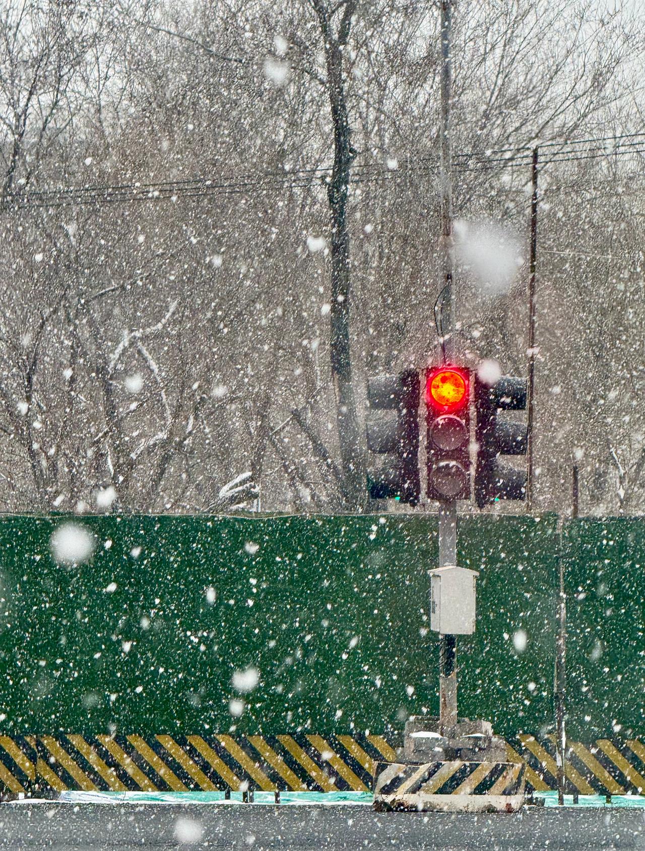 北京这惊蛰❄️ 确实很惊
🐛虫子都傻了：“不儿惊蛰么？起早了？”
瑞雪兆丰年！
