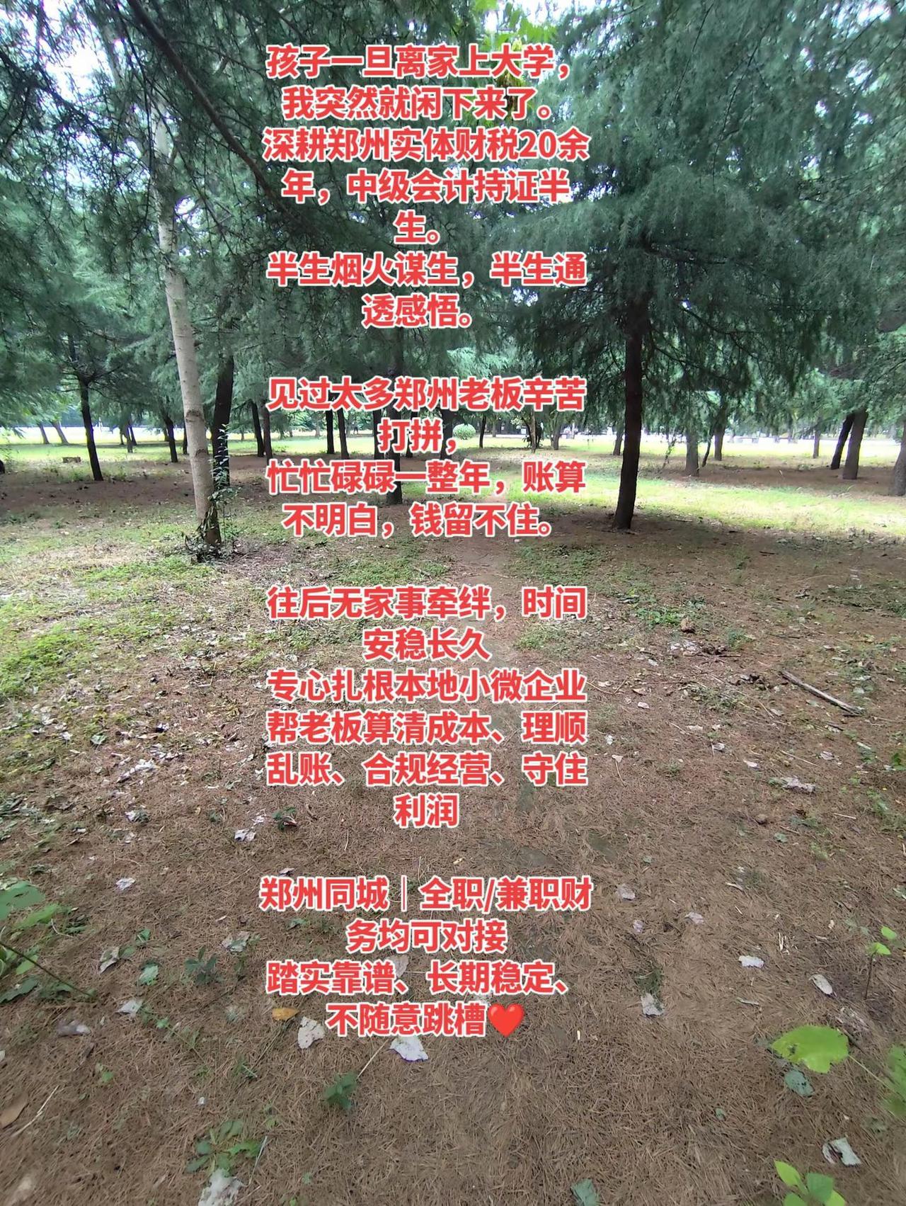 70后会计求职。