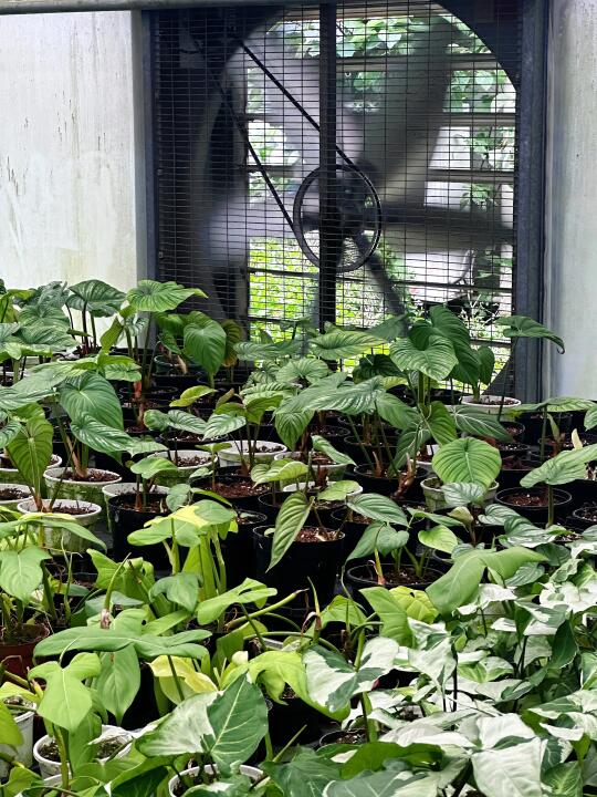 🌿「今日份治愈系购物」
