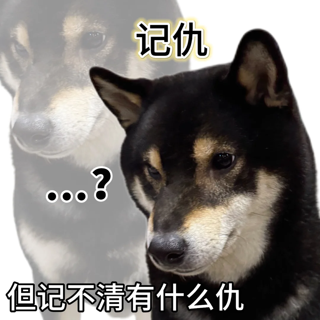 确诊为英年早呆🫢