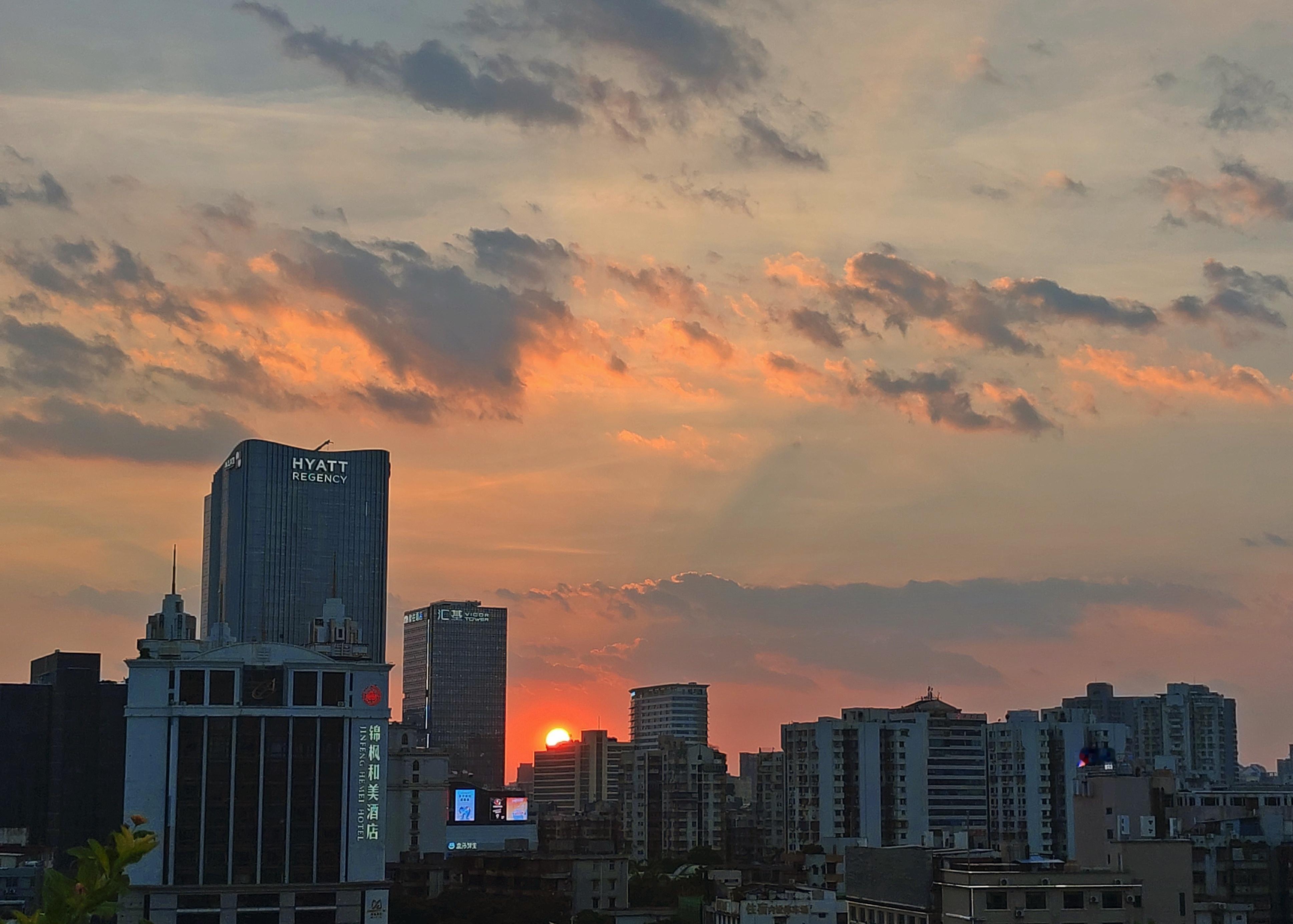 惬意的夏日☀️ 