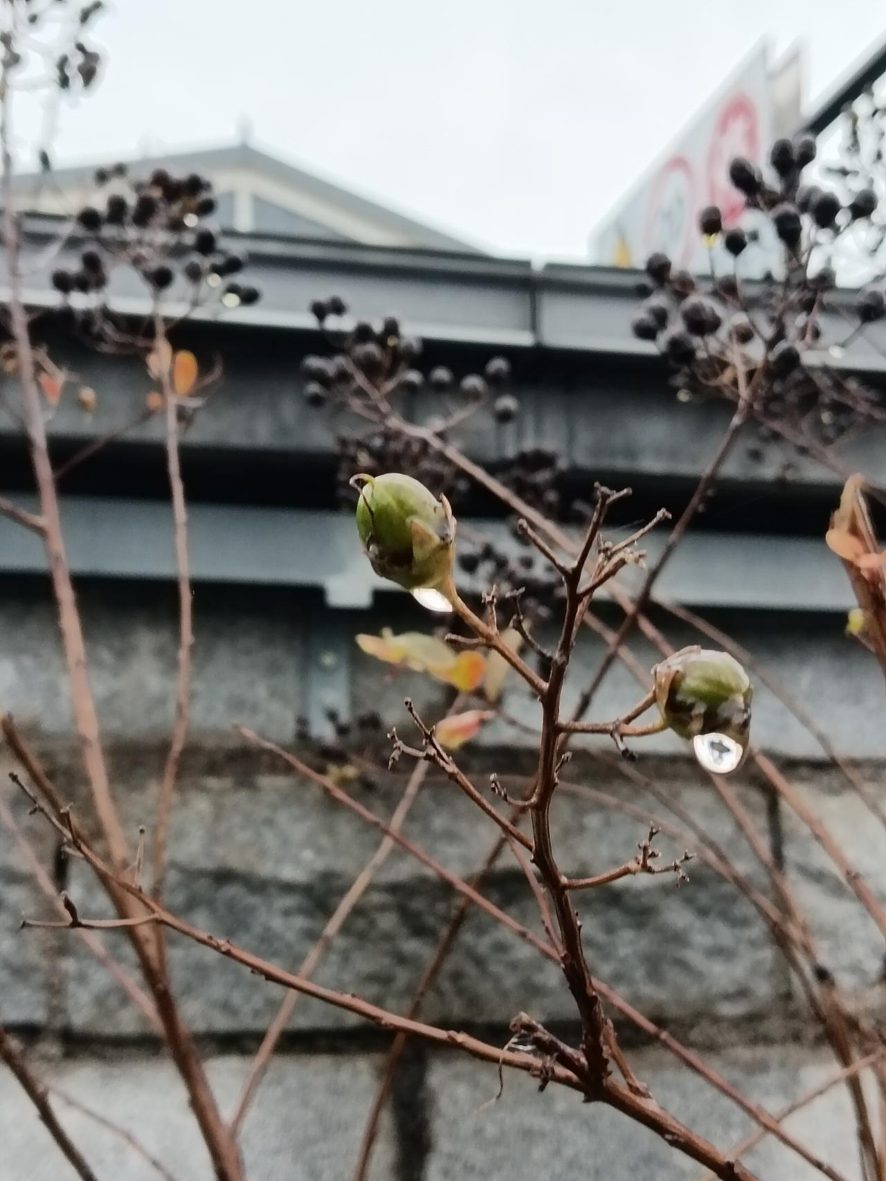 当一个世道变得万恶，逼得人无可奈何时，就开始了落泪，然后就要改造或创立新的世道。