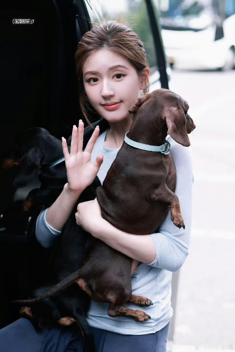 看得出赵露思真的是爱狗人士[并不简单] ​​​
