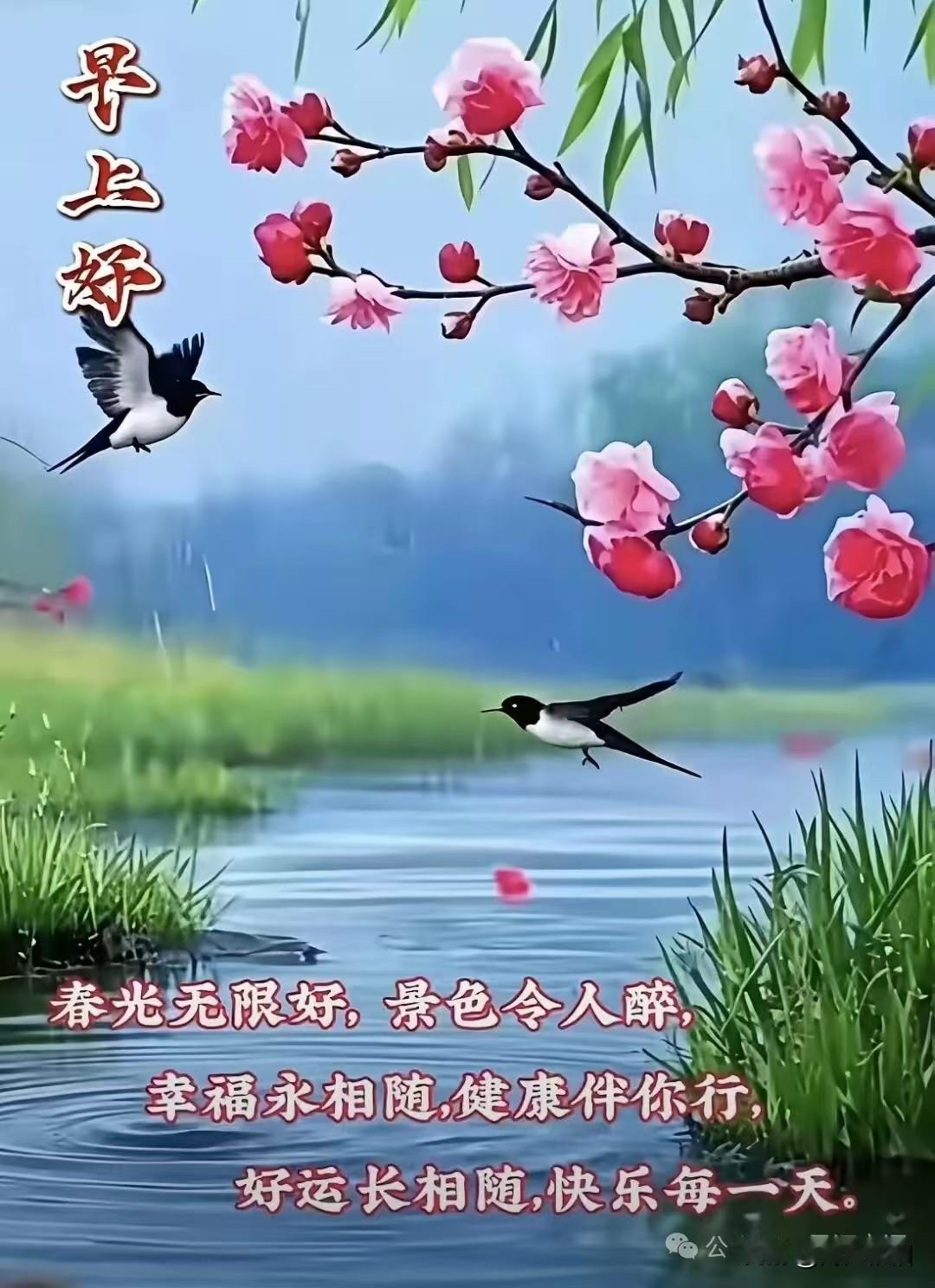 鹧鸪天《微信问春》
 
春味轻随软风扬，
人生故事写沧桑。
四时流转皆成韵，
一