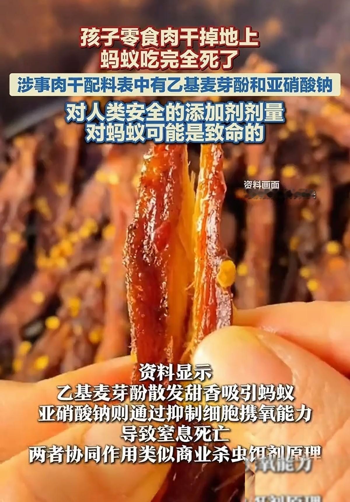 触目惊心！海南，一孩子吃手撕肉干零食碎渣掉落在地面，吸引蚂蚁跑来饱餐一顿，结果这