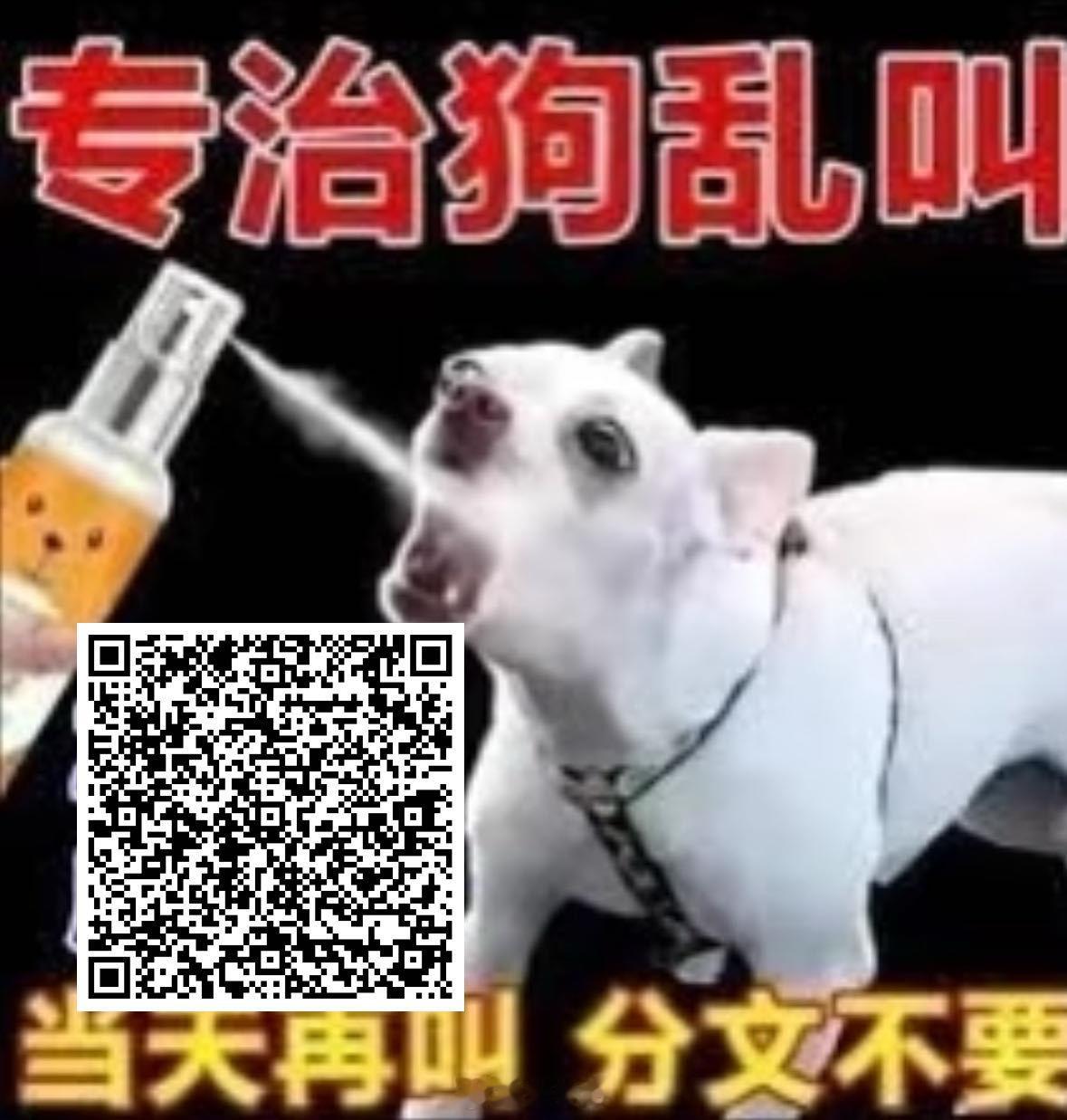 来打狗 做完打卡 