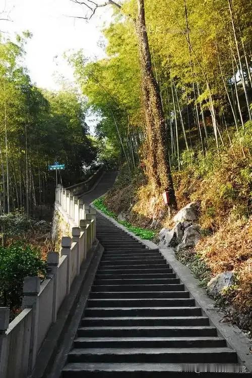 随手拍张照