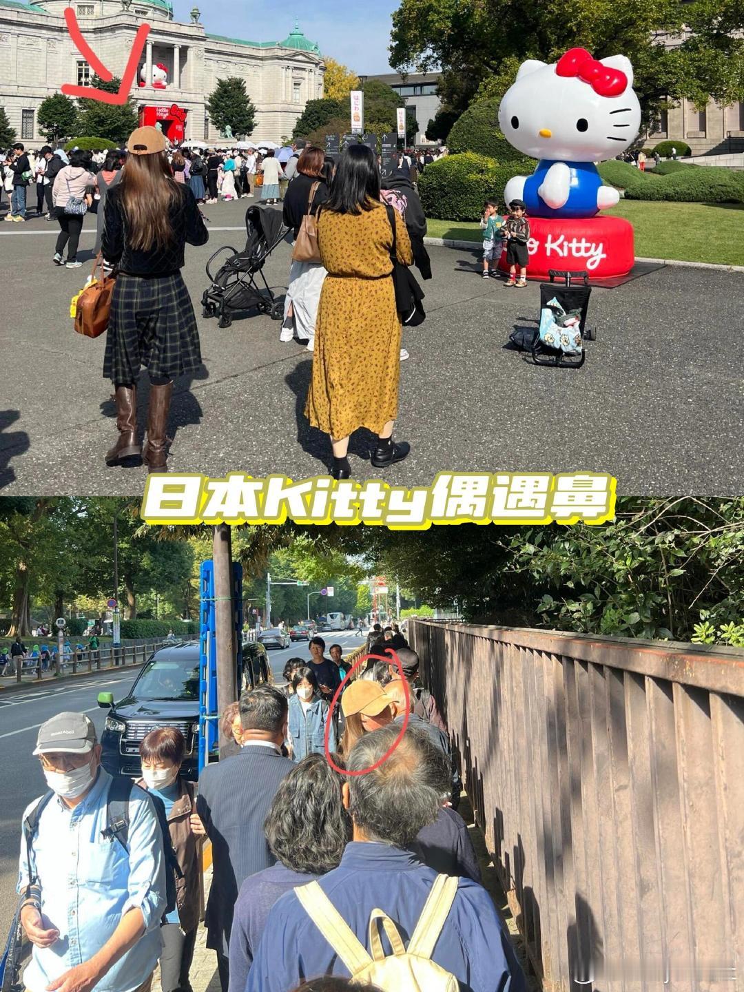 #日本偶遇Angelababy逛kitty展#网友晒在日本 Kitty 展偶遇 
