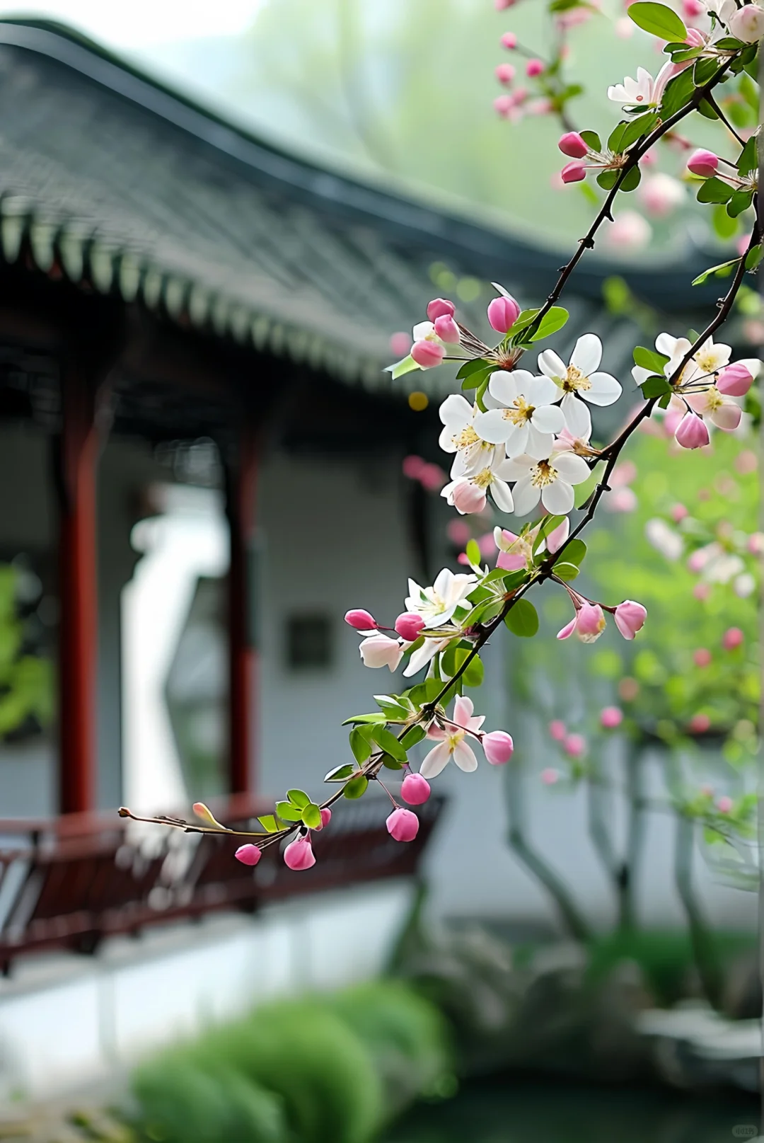 伴随八月花香，好运随风而来