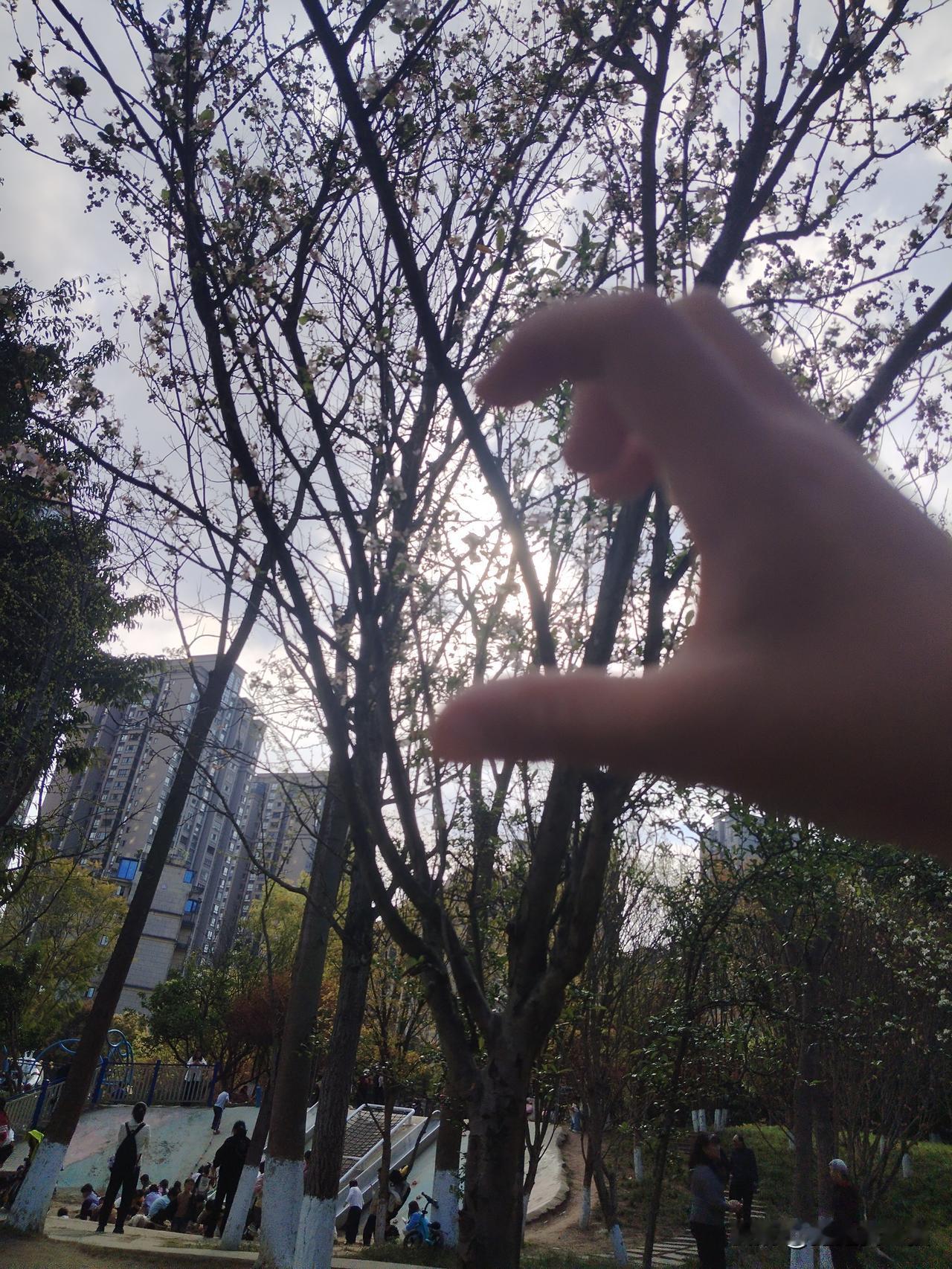 我真的太放纵！
一个负责累累的中年妇女，今天居然干了一件特荒唐的事情。

今天休