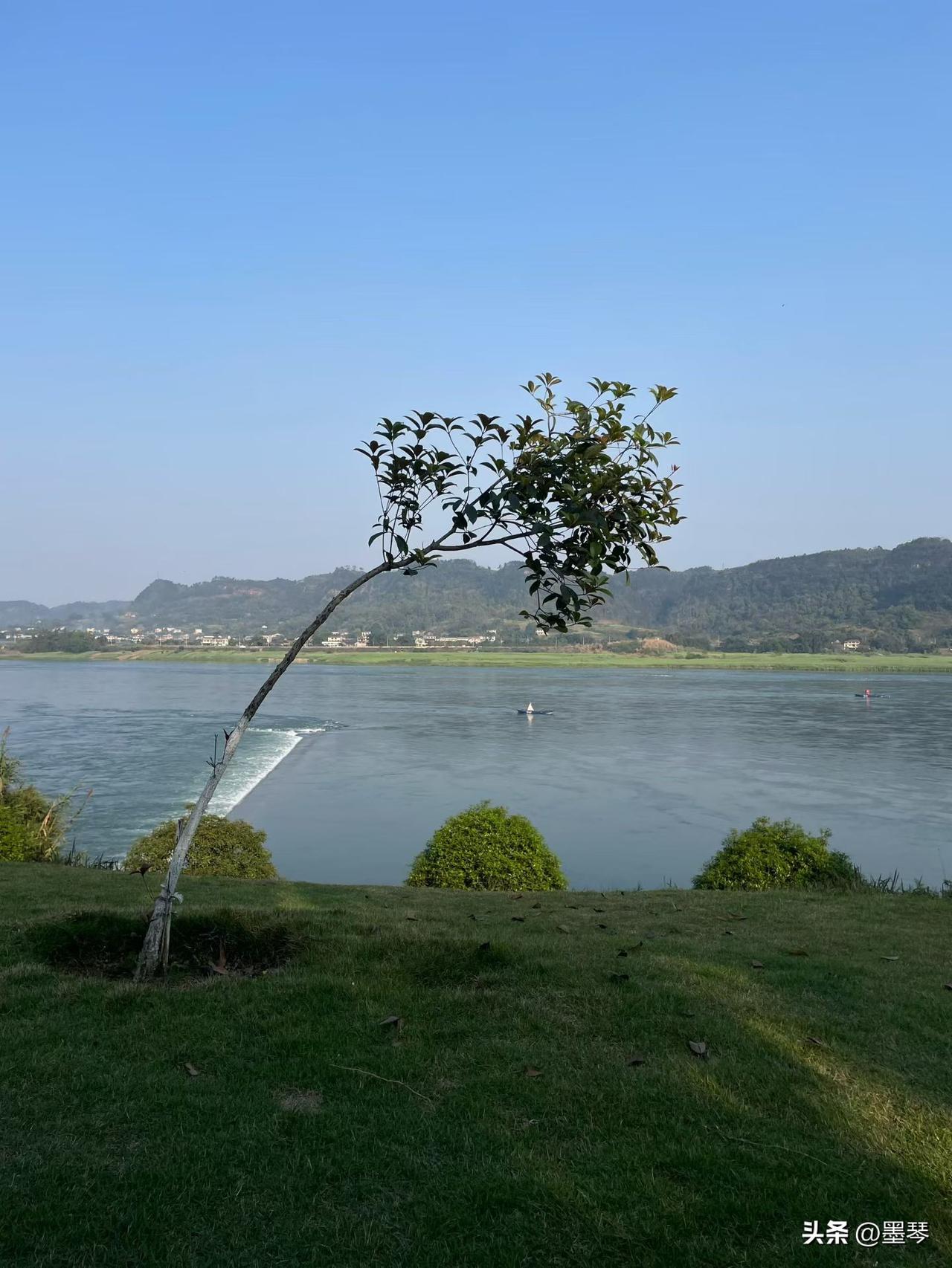 与同频的人深交，才是人生最好的状态。

下午在家睡觉，表妹拧着牛奶水果就来了。这