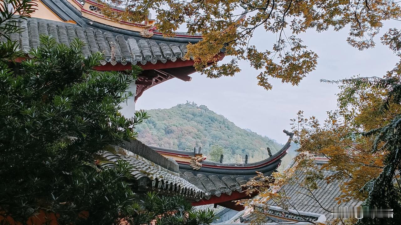 分享你镜头下的美好瞬间愿你的相机宛如诗人的笔触细腻，捕捉世间万象的美好瞬间;如同