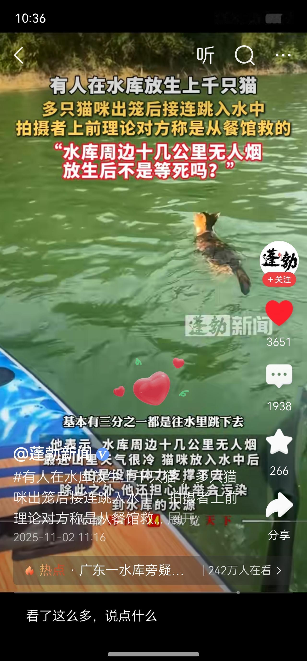 有人往水库扔猫咪。关键不是一只，是很多只！这不是核心。
这是水库，可能还是饮用水