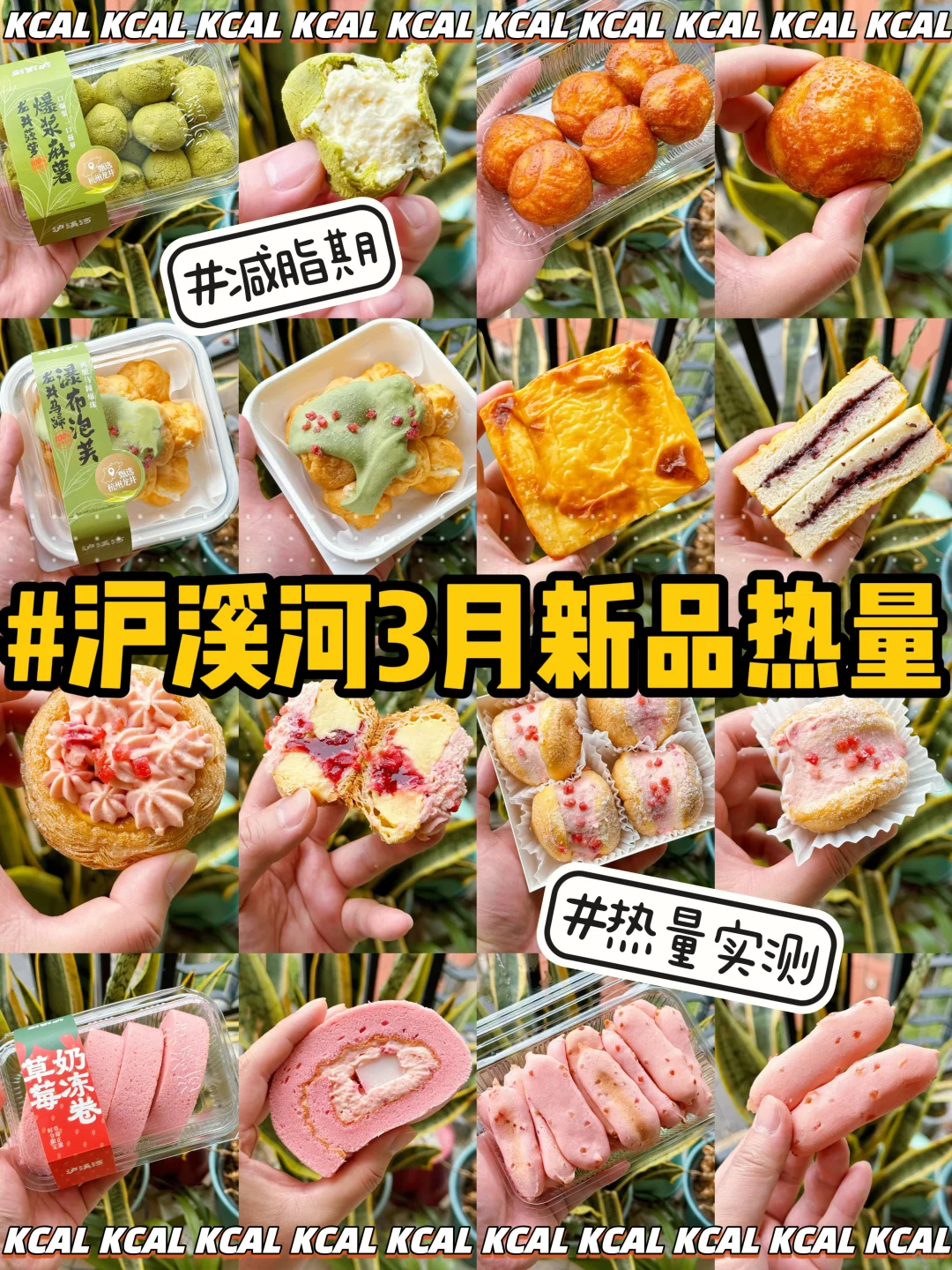 泸溪河热量测评‼️3月新品🆕80款点心全拆解